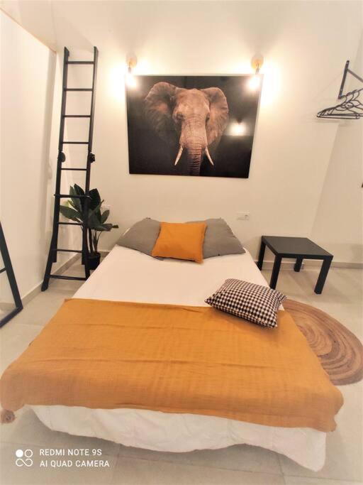 Apartament Precioso Loft Berenguer *